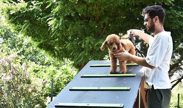 Kemalpaşa Belediyesi can dostlar için ilçenin ilk köpek parkını kurdu
