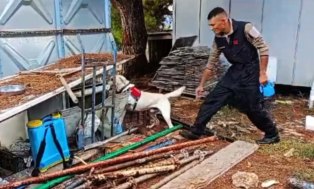 İçişleri Bakanı Yerlikaya’dan Jandarma ve Polise Teşekkür 