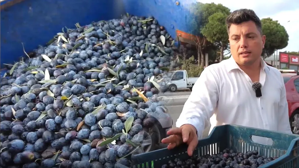 Zeytin Yağlarındaki Hileye Dikkat