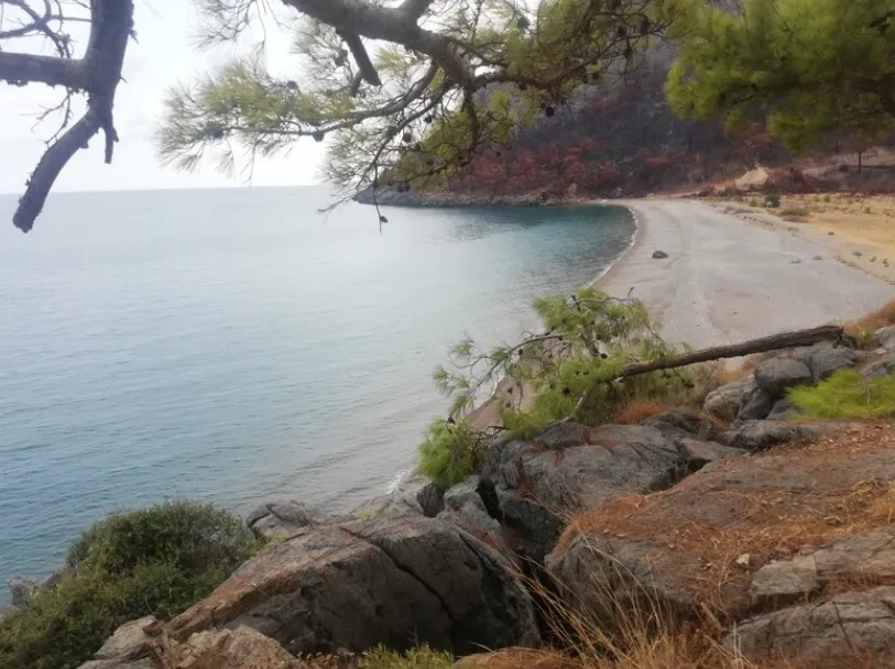 Anamur Koyları nerelerdir ?