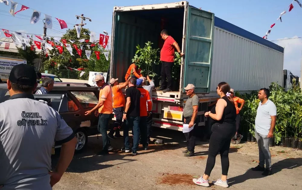 Mersin Büyükşehir’den 3 İlçeye Avokado ve Balık Malzeme Desteği