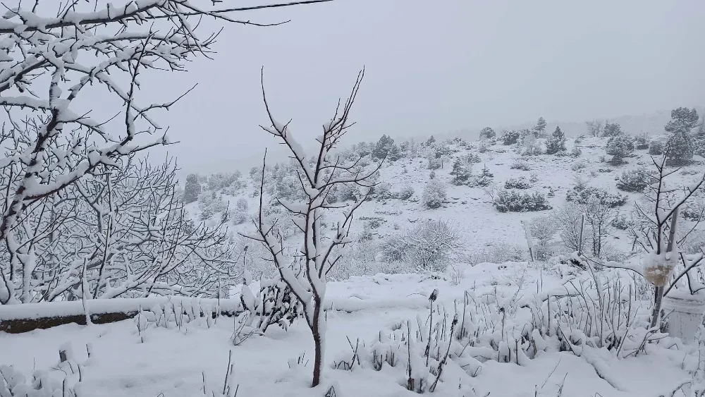 Gece Başlayan Kar Torosları Beyeza Bürüdü: Anamur ve Bozyazı