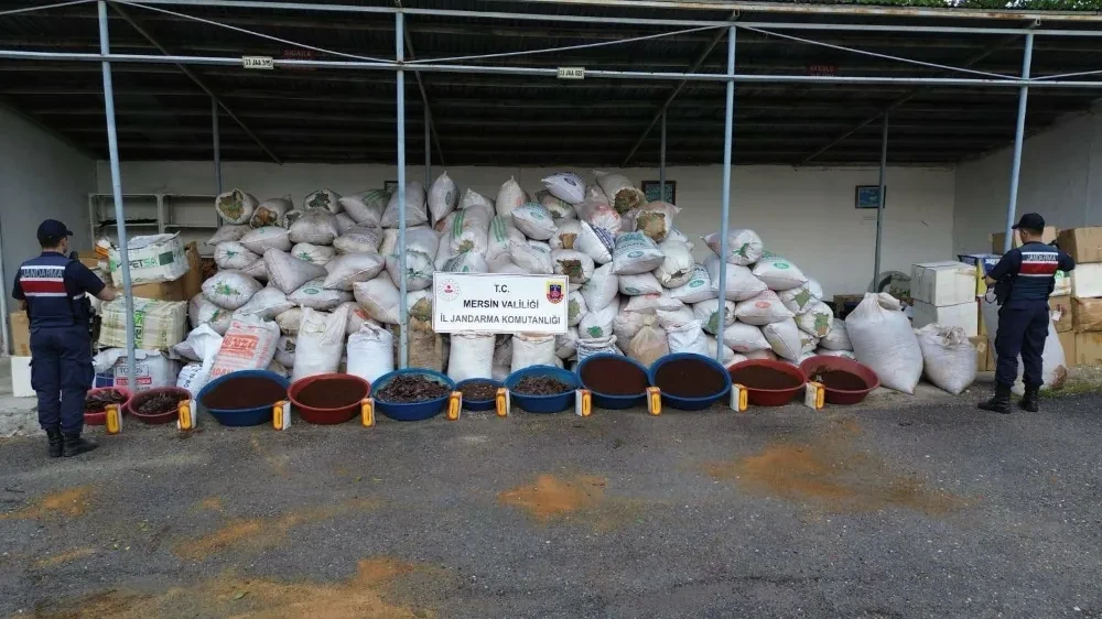 Jandarma’dan Dev Kaçak Tütün Operasyonu: 10 Ton Tütün Ele Geçirildi