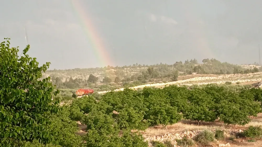 Gülnar