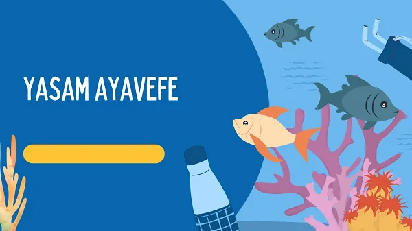 Eğitim Teknolojilerinde Çığır Açan Projeler: Yaşam Ayavefe