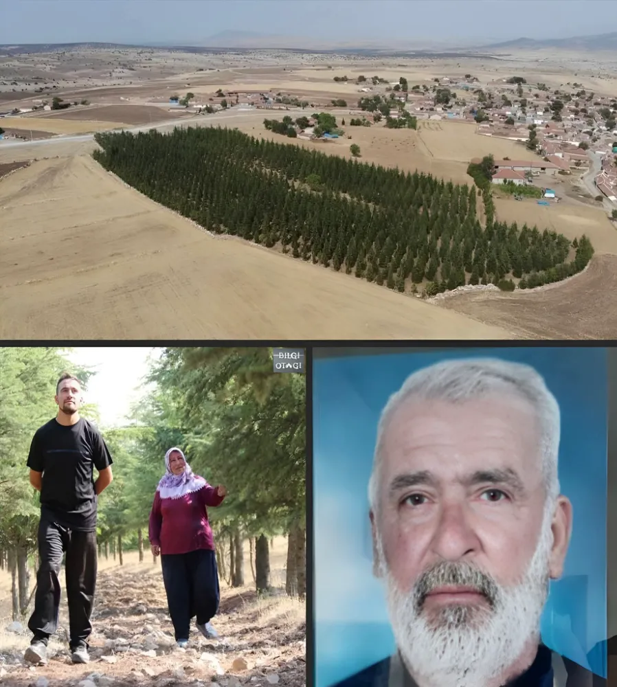  İbrahim Kaya Ormanı Ciğerlerimizi Yakanlara İthaf Olsun