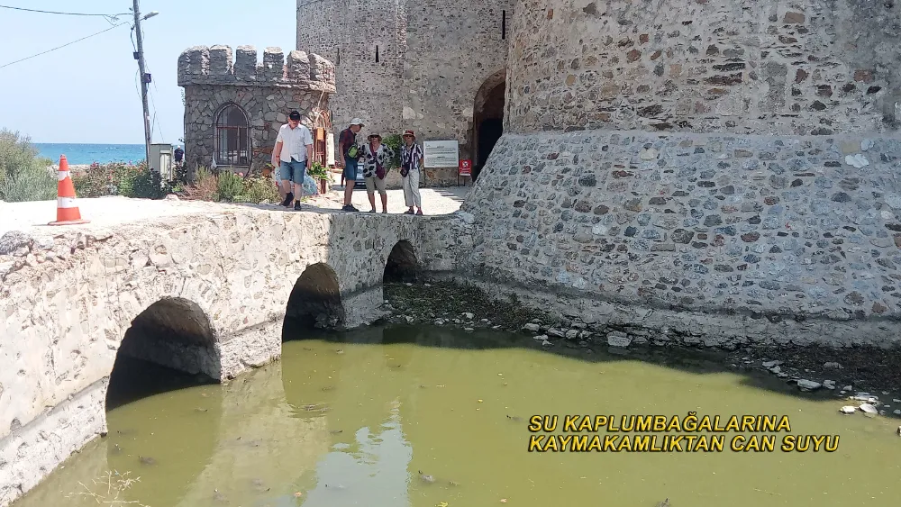 Kaymakamlıktan  Su Kaplumbağalarına Can Suyu 