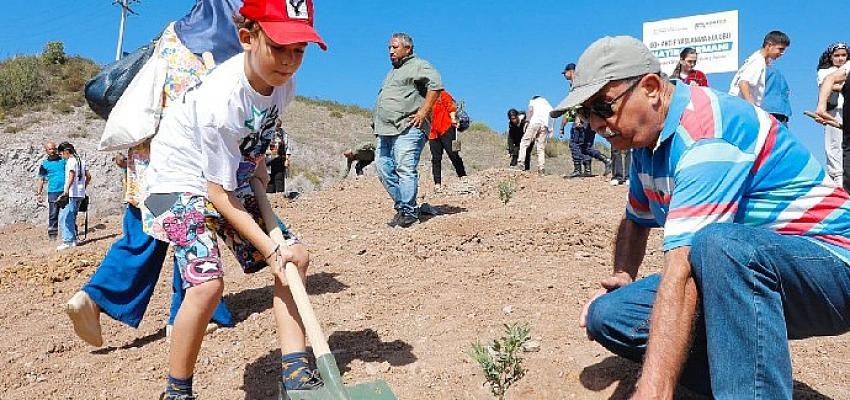 Çınarlarımızdan Hatıra Ormanı