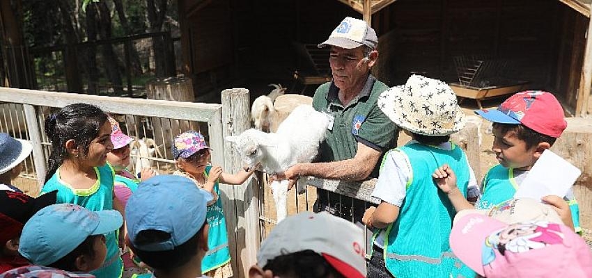 Antalya Büyükşehir Belediyesi Hayvanat Bahçesi’ne yoğun ilgi