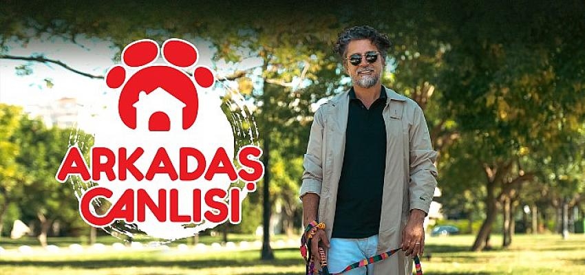 beIN ORIGINALS’ın sevilen yapımı “Arkadaş Canlısı” Yeni Sezonuyla beIN CONNECT’te