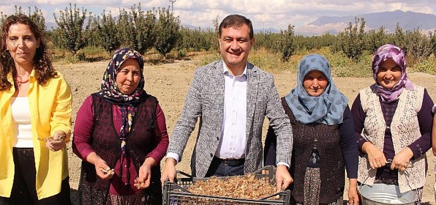 Başkan Muhittin Böcek’in yerelden  kalkınma hamlesi adım adım ilerliyor