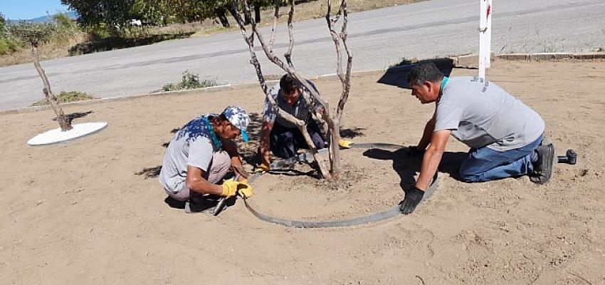 Burhaniye’de Park Bakımları Başladı