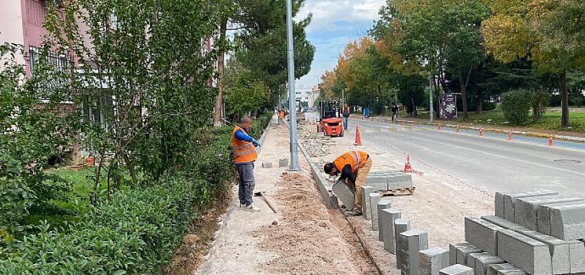 Y. Kaptan Salkım Söğüt ve Çamsakızı