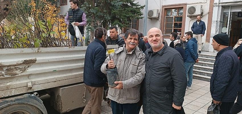 Saray Belediyesi’nden ücretsiz incir fidanı