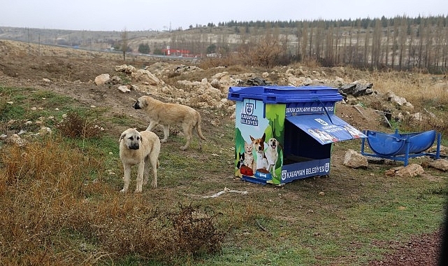 Sokak Canları İçin Daha Modern Beslenme Noktaları Yapılıyor