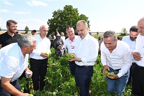 Bursa’nın Yenişehir Biberi’ne tescil belgesi alındı