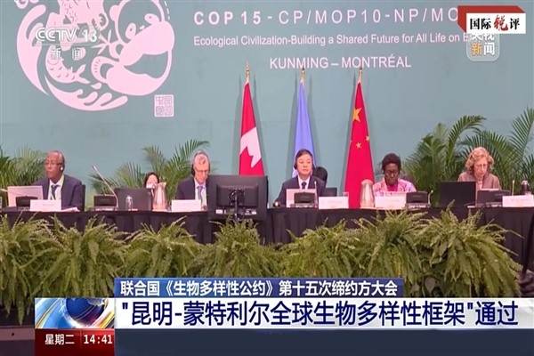 “Kunming-Montreal Küresel Biyoçeşitlilik Çerçevesi insanlık ve doğa arasında barışçı bir sözleşme”