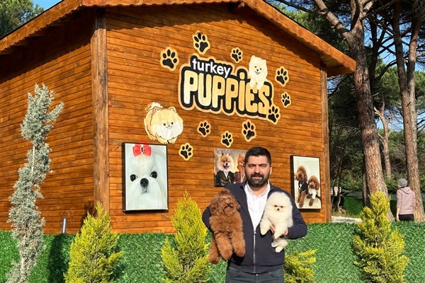 Kaçak yollarla yurt dışından getirilen köpeklerde sağlık sorunları ortaya çıkıyor