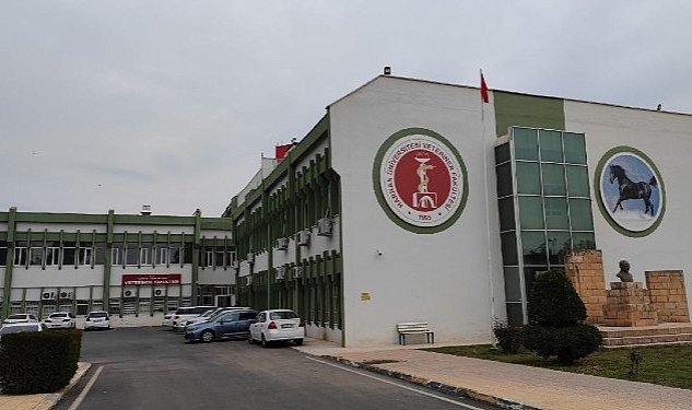 Harran Üniversitesi'nde Kanatlı Hayvanların Hastalıklarında Kullanılan Tanı Kiti Geliştirildi