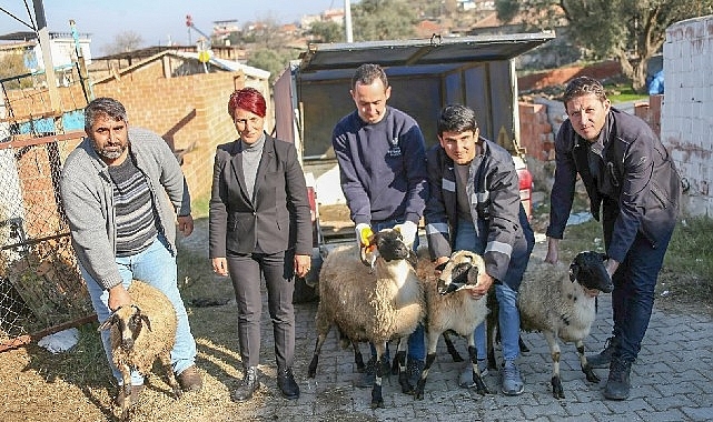 Başkan Çerçioğlu Koyunları Telef Olan Üreticiye Destek Oldu