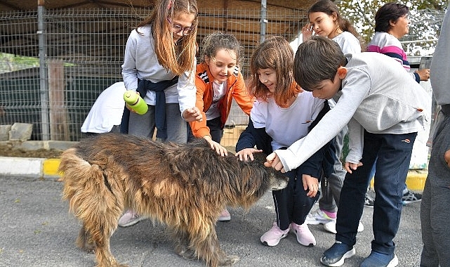 Beylikdüzü'nde Patili Dostlar Mutlu