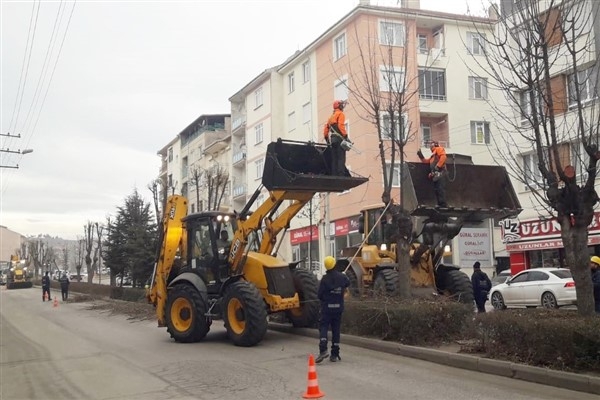 Eskişehir Belediyesi, ekipleri ağaçların kış bakımını sürdürüyor