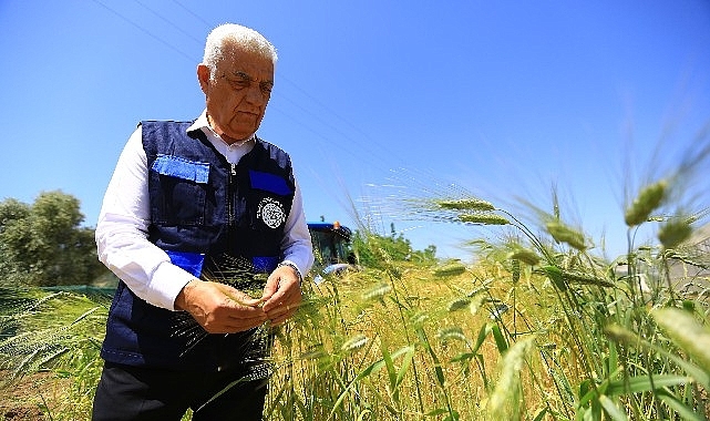 Muğla Büyükşehir'den Tarım ve Hayvancılığa Büyük Destek