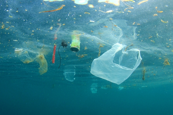 Okyanusların tabanında 14 milyon tondan fazla mikroplastik birikti