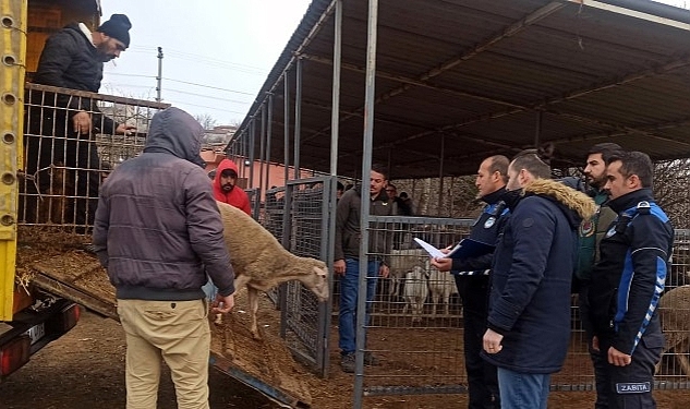 Hayvan Satış Yeri'nde Denetim Gerçekleştirildi