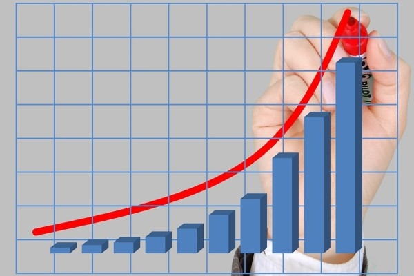 Hayvansal üretim istatistikleri, 2022