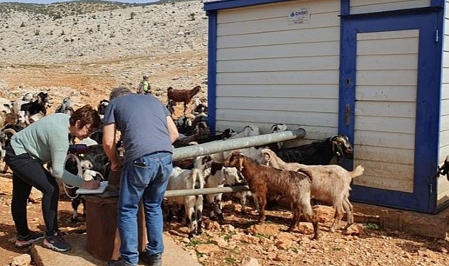 DEÜ Ekipleri, Deprem Atıklarının Bertarafı İçin Çalışıyor