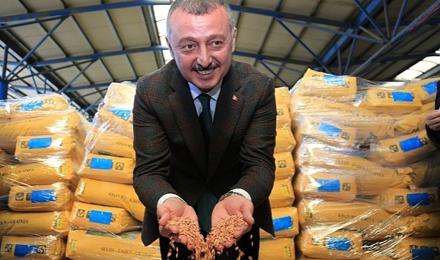 Kocaeli Büyükşehir'den 2 bin çiftçiye yem bitkisi tohumu desteği