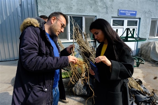 Eskişehir’den İzmir’e dut fidanı hibesi