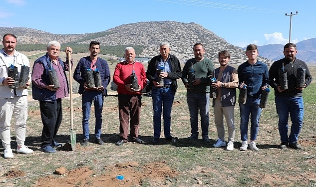 Korkuteli'de antepfıstığı yetiştiriciliği yapılacak