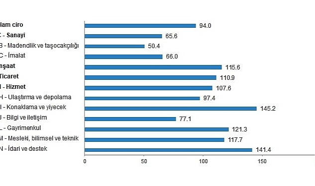 TÜİK: Ciro Endekslerini Açıkladı