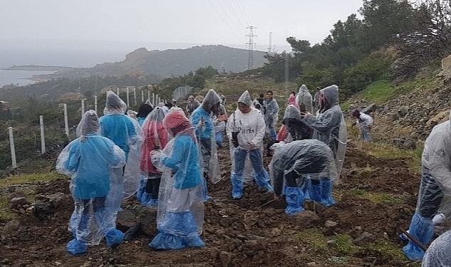 Foça'da Orman Haftası Kutlama ve Fidan Dikim  Etkinliği