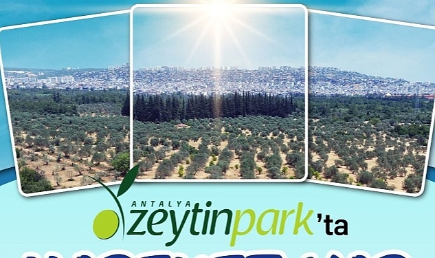 Zeytinpark'ta Hareket Var!