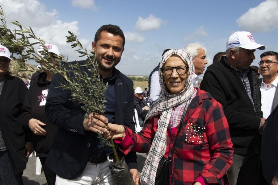 Proje Kapsamında Kent Genelinde Toplam 42 Bin 660 Adet Zeytin Fidanı Dağıtılacak