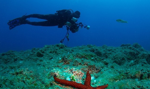 22. Uluslararası Kemer Su Altı Günleri