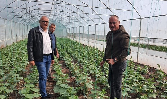 Gemlik Belediyesi'nde organik tarım çalışmaları sürüyor