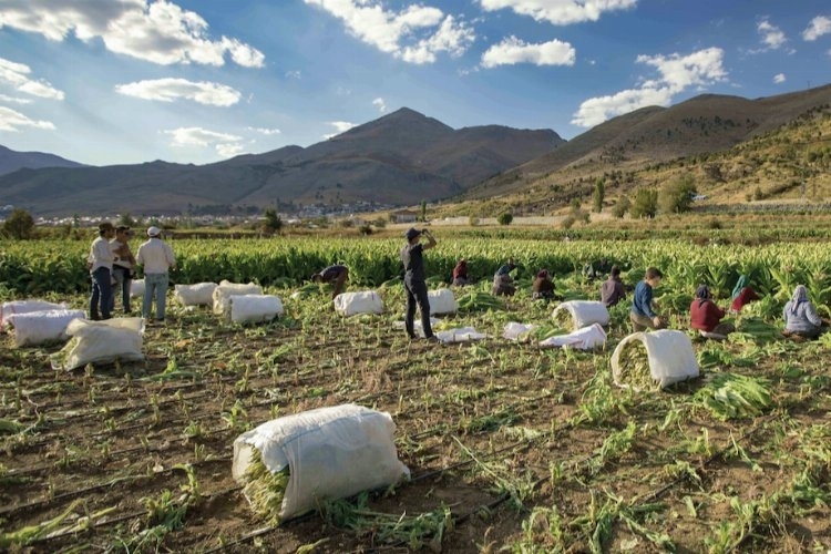 Migros deprem bölgesinden 300 ton ürün alacak