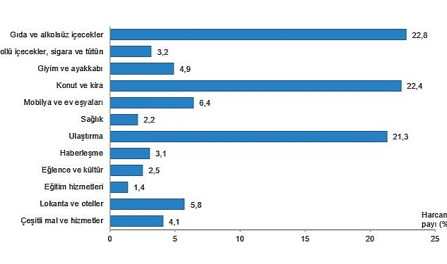 Hanehalkı bütçesinden en fazla pay gıda ve alkolsüz içecek harcamasına ayrıldı