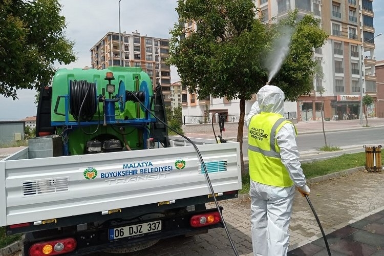 Malatya Büyükşehir haşereyle yoğun mücadele veriyor