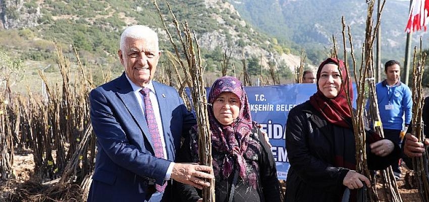 Muğla Büyükşehirden Fidan ve Tohum Desteği