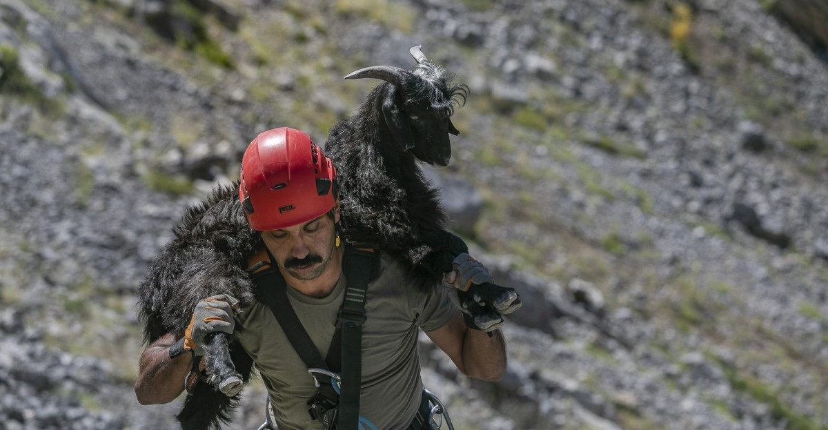 MERSİN BÜYÜKŞEHİRDEN KEÇİ OPERASYONU