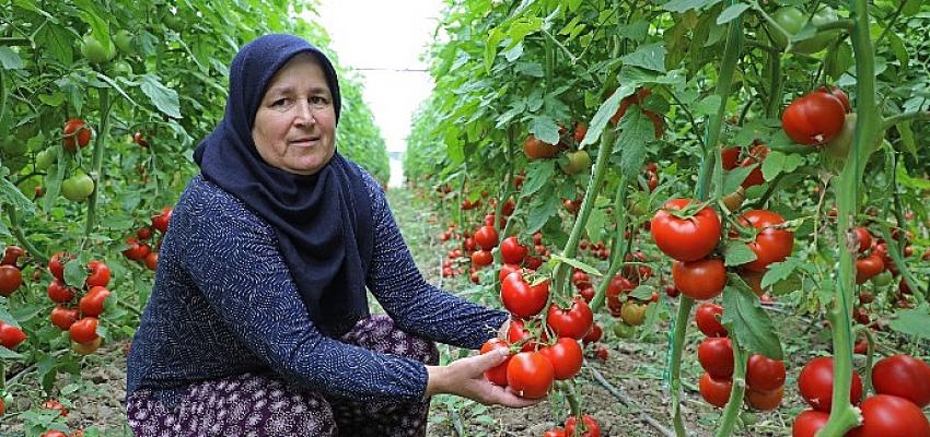 Büyükşehir’in sulama projesi  Manavgat’a hayat verdi