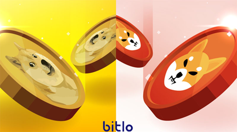 Dogecoin (DOGE) ve Shiba Inu (SHIB), Bitlo