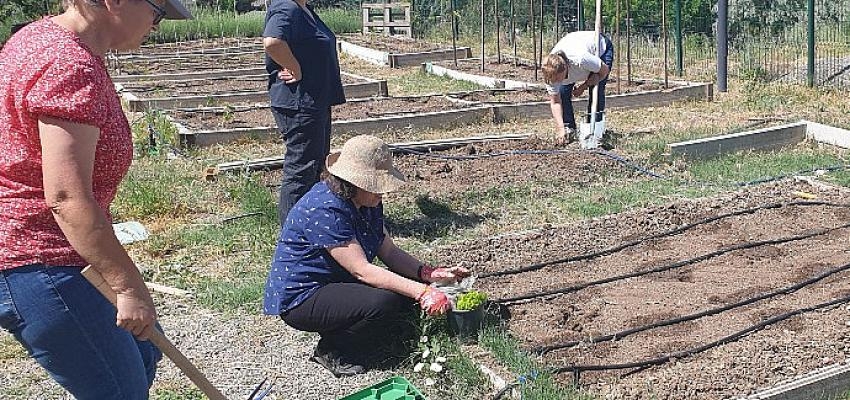 Kent Tarım’da Sonbahar Dönemi Başlıyor