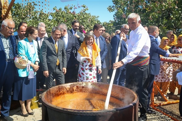 GastroAntep Festivali, antepfıstığı hasadı ve şire yapımıyla başladı