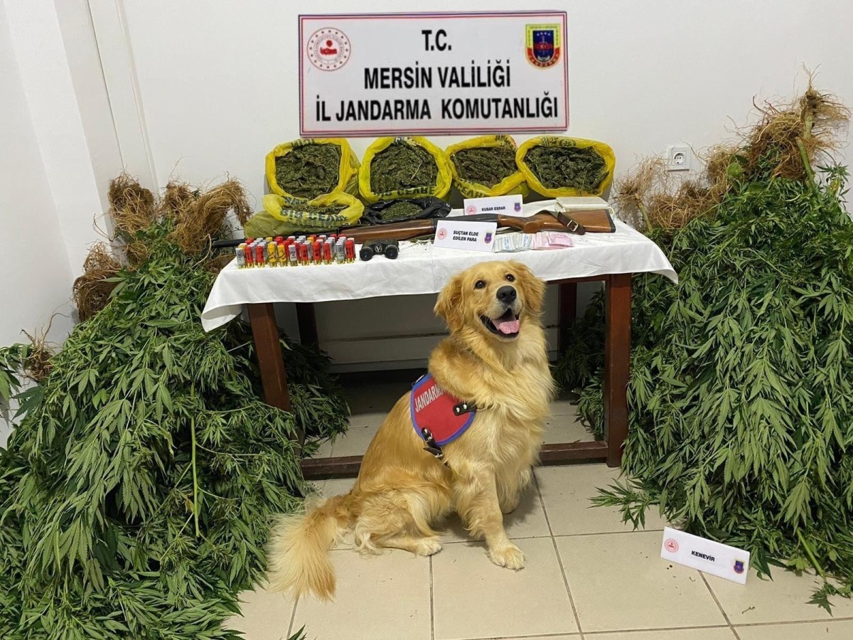 JANDARMASI; UYUŞTURUCU İMALATCILARINA NEFES ALDIRMIYOR